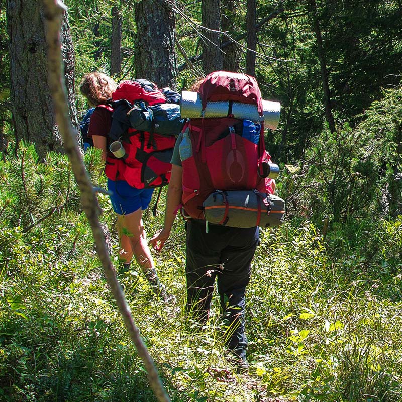 Randonneurs dans un sous-bois de Saint-André-des-Eaux proche du camping