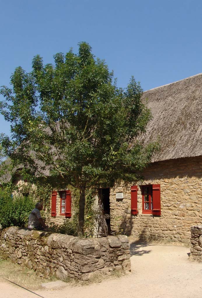 Chaumière typique du parc de Brière proche du camping